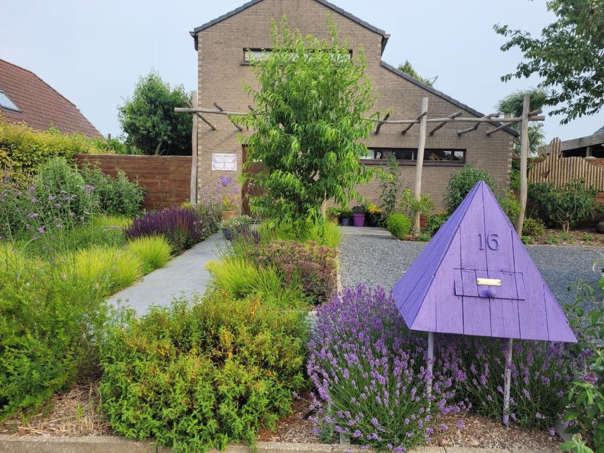 Purple Papillon Villa Heuvelland Exterior photo